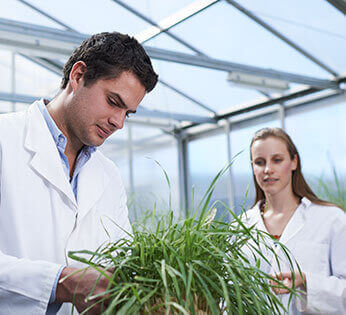 In the VCB greenhouse, a male research student in a white lab coat is looking down at the leaves of a plant while a female research student looks on.